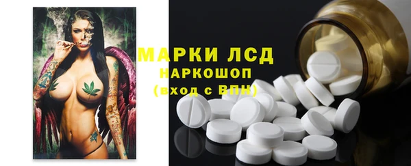 спиды Аркадак