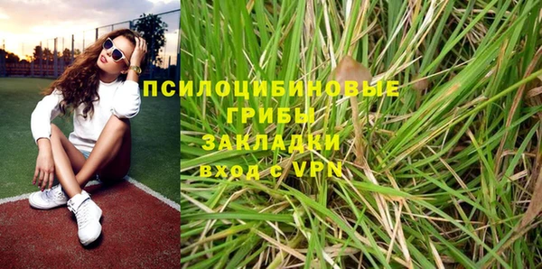 тгк Арсеньев