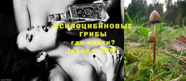 тгк Арсеньев